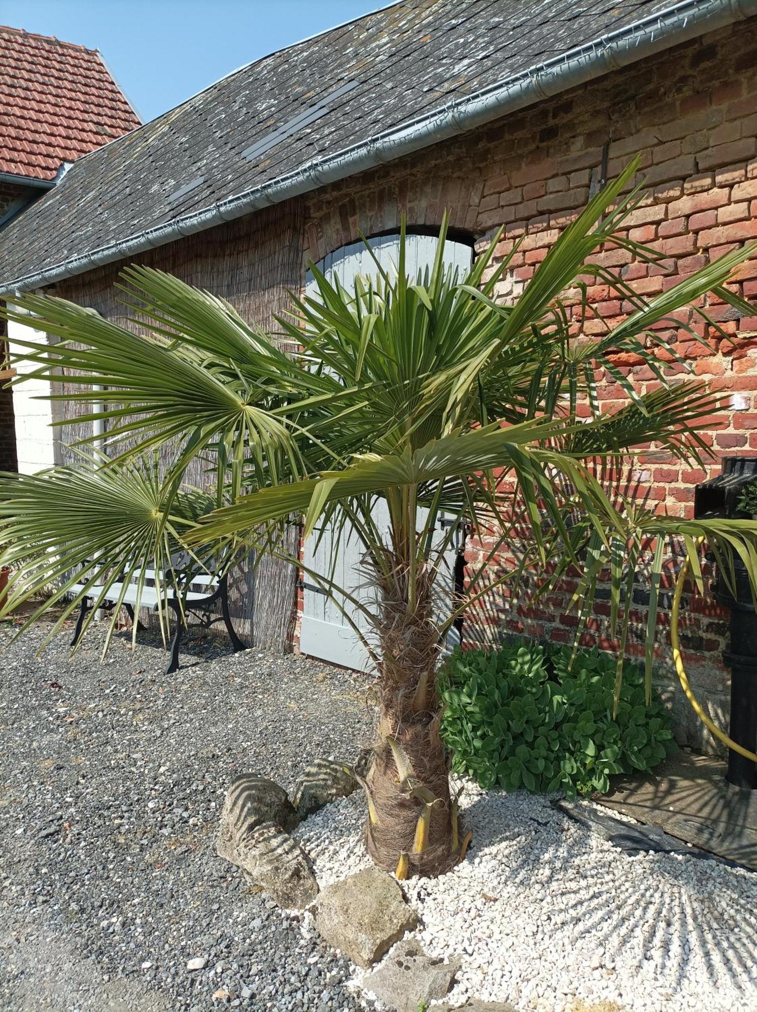 Les Muches Panzió Bouzincourt Kültér fotó